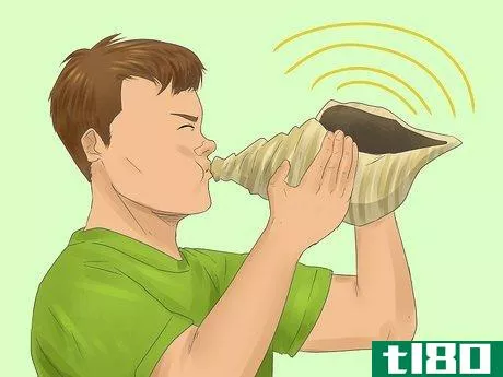 Image titled Blow a Conch Shell Step 3
