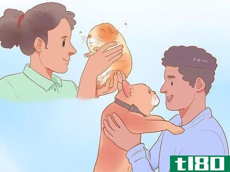 Image titled Be a Responsible Pet Parent Step 3