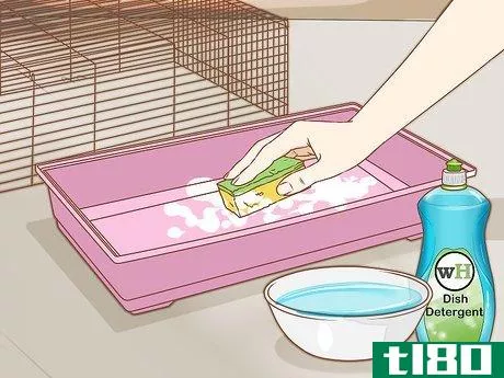 Image titled Care for Syrian Hamsters Step 15
