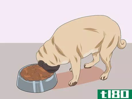 Image titled Breed Pugs Step 17