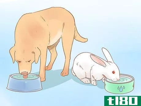 Image titled Be a Responsible Pet Parent Step 13