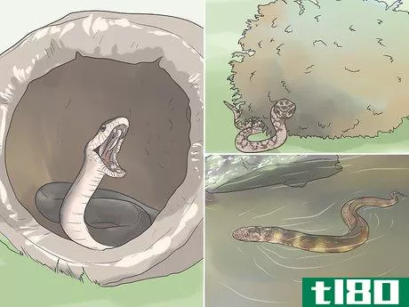Image titled Avoid Snakes Step 2