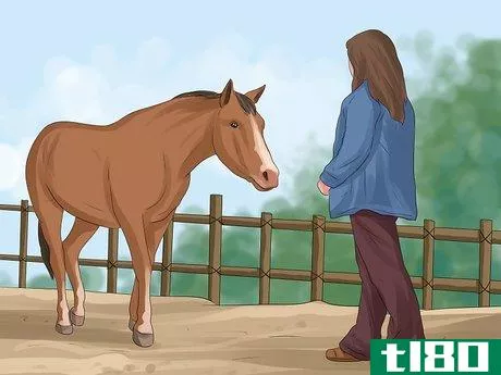Image titled Get More Confident Around Horses Step 2