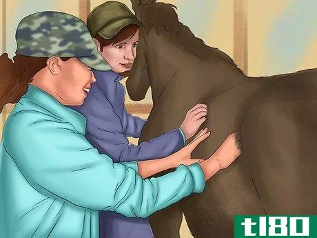 Image titled Be an Equestrian Step 4