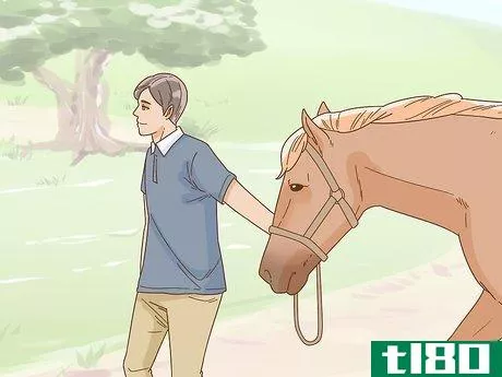 Image titled Calm Your Horse Down Quickly Step 10