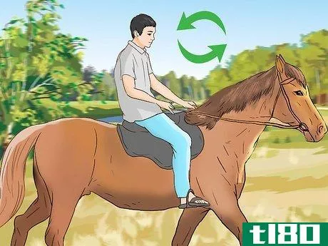 Image titled Buy a Trail Horse Step 16