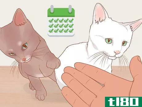Image titled Be Nice to Your Pets Step 1