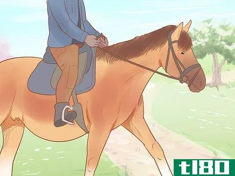 Image titled Care for a Pregnant Mare Step 14