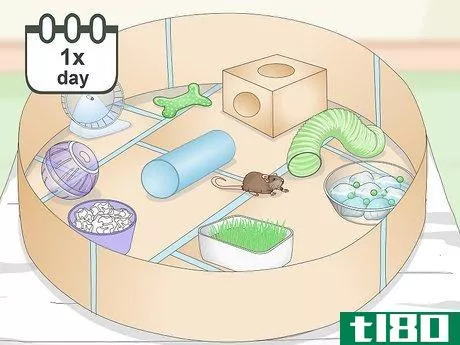 Image titled Build a Safe Playground for Your Pet Rats Step 11