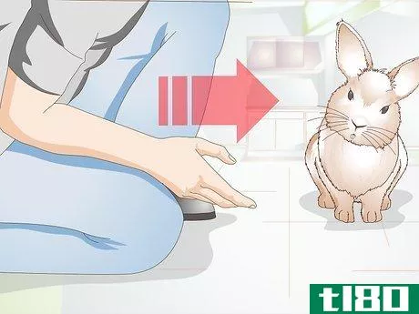 Image titled Calm a Vicious Rabbit Step 3