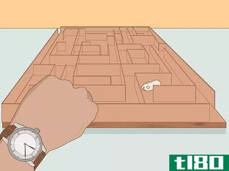 Image titled Build a Hamster Maze Step 17