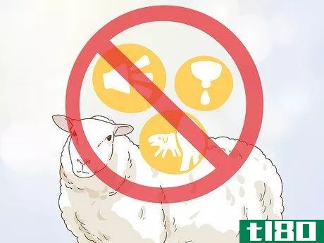 Image titled Care for a Sheep With Pneumonia Step 13