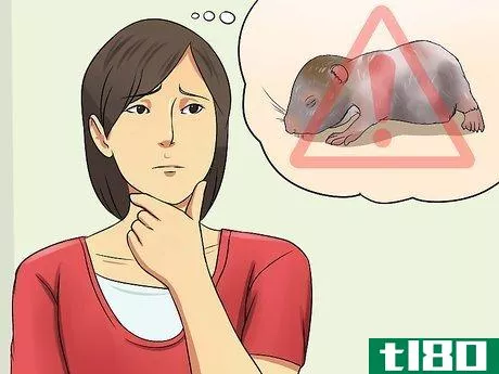 Image titled Care for Newborn Hamsters Step 11