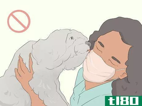 Image titled Care for Animals During the Coronavirus Outbreak Step 12