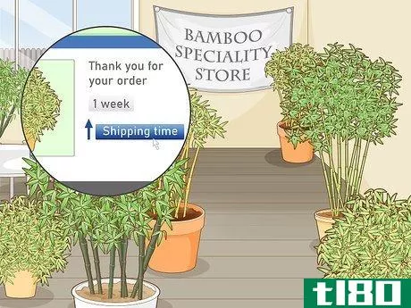 Image titled Buy Bamboo Step 10