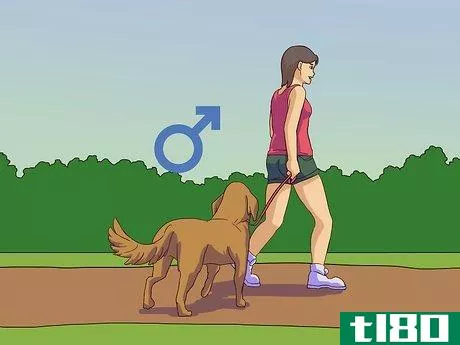 Image titled Calm a Male Dog when a Female Is in Heat Step 7