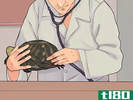 Image titled Care for a Hibernating Turtle Step 2