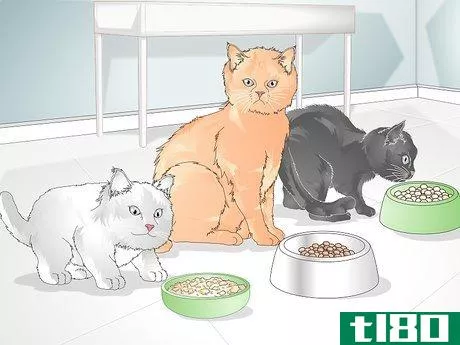 Image titled Buy Healthy Cat Food Step 4