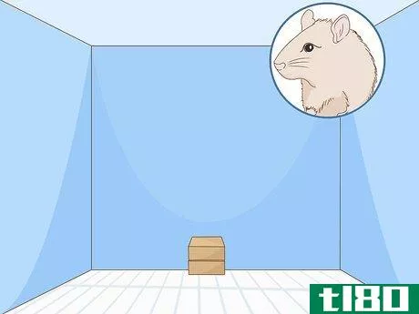 Image titled Build a Hamster Maze Step 1