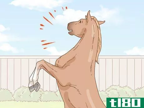 Image titled Calm Your Horse Down Quickly Step 14