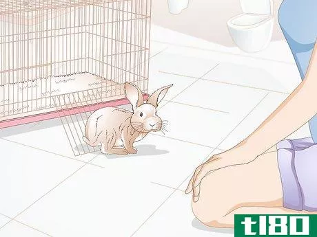Image titled Calm a Vicious Rabbit Step 5