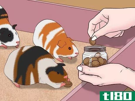 Image titled Care for a Pregnant Guinea Pig Step 21