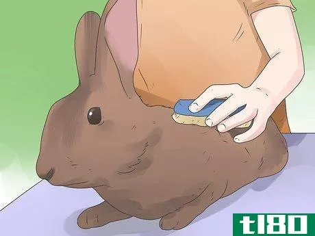 Image titled Care for Mini Lop Rabbits Step 15