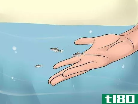 Image titled Bait and Use a Minnow Trap Step 11
