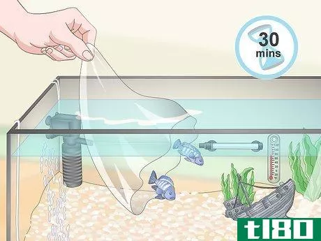 Image titled Build a Freshwater Predator Fish Aquarium Step 13