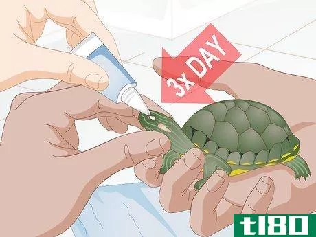 Image titled Apply Medication to a Turtle's Eyes Step 6