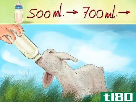 Image titled Bottle Feed a Baby Lamb Step 9