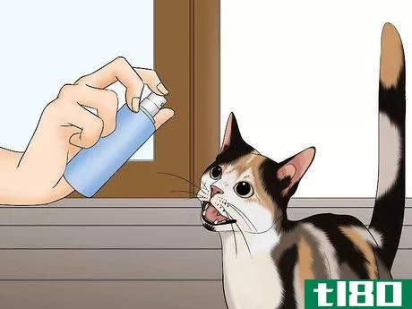 Image titled Avoid Losing Your Cat Step 11