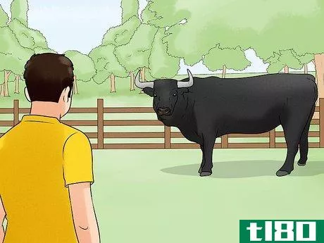 Image titled Avoid or Escape a Bull Step 2