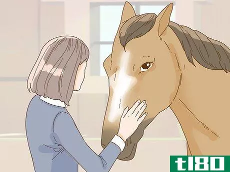 Image titled Calm Your Horse Down Quickly Step 2