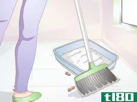 Image titled Avoid Germs when Cleaning a Litter Box Step 5