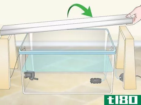 Image titled Build a Hydroponics System Step 16