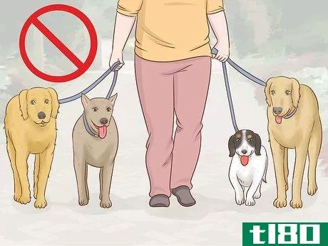 Image titled Become a Dog Walker Step 10