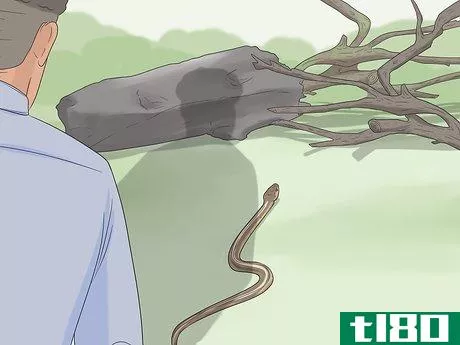 Image titled Avoid Snakes Step 1