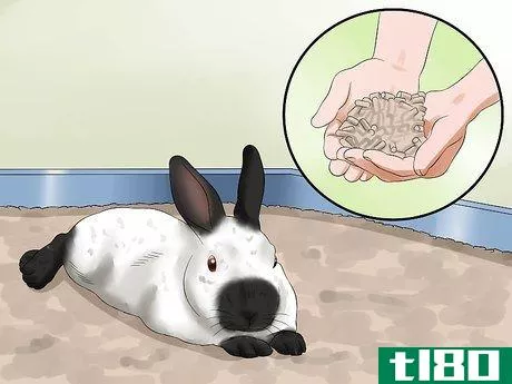 Image titled Care for Californian Rabbits Step 10