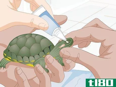Image titled Apply Medication to a Turtle's Eyes Step 5