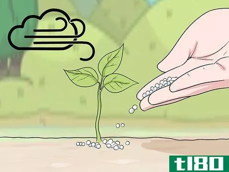 如何施用尿素肥料(apply urea fertilizer)