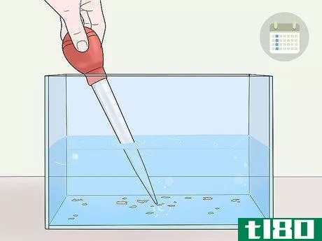 Image titled Care for African Clawed Frog Tadpoles Step 9