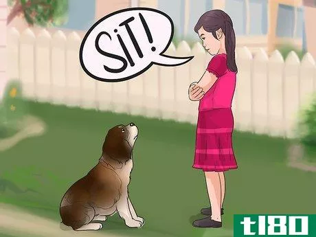 Image titled Be a Good Pet Owner (for Kids) Step 6