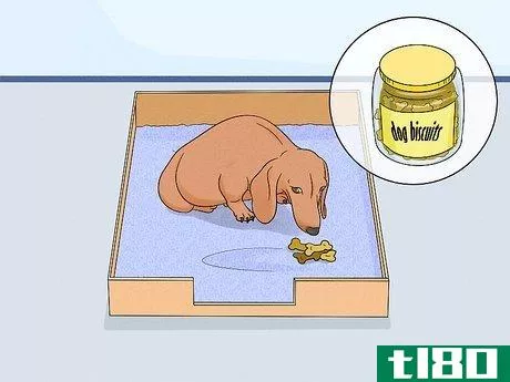 Image titled Care for Newborn Puppies Step 9