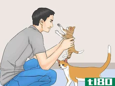 Image titled Be a Good Pet Owner Step 14