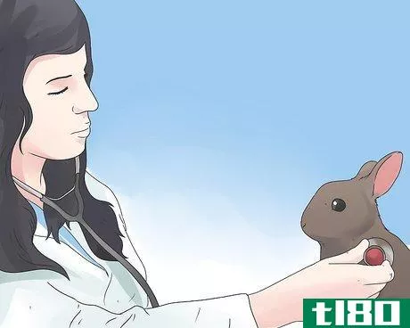 Image titled Care for Mini Lop Rabbits Step 16