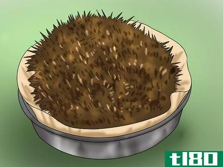 Image titled Care for a Baby Hedgehog Step 26