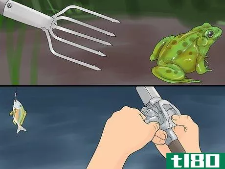 Image titled Catch a Bullfrog Step 13