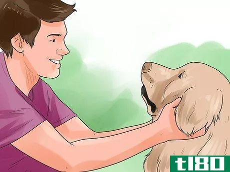 Image titled Be a Good Dog Owner Step 22