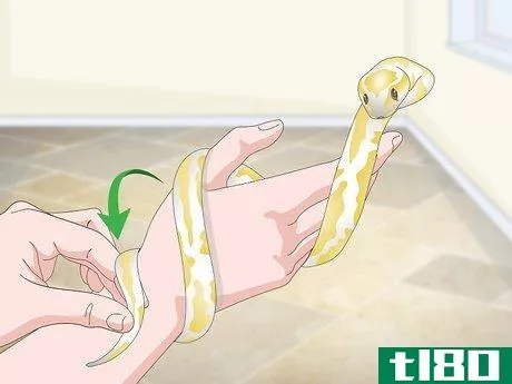 Image titled Build a Relationship with Your Snake Step 8